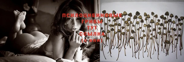 бошки Белокуриха