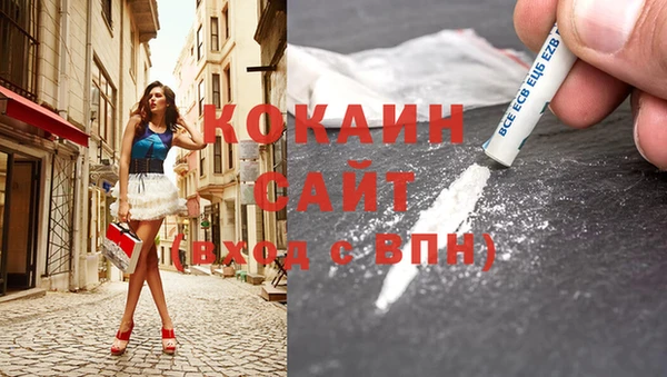 бошки Белокуриха