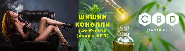 СК Богородск