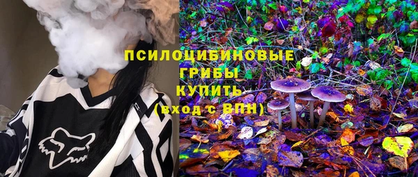 бошки Белокуриха