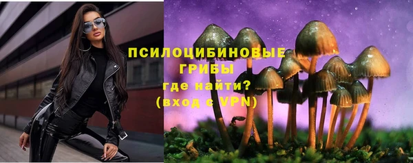 бошки Белокуриха