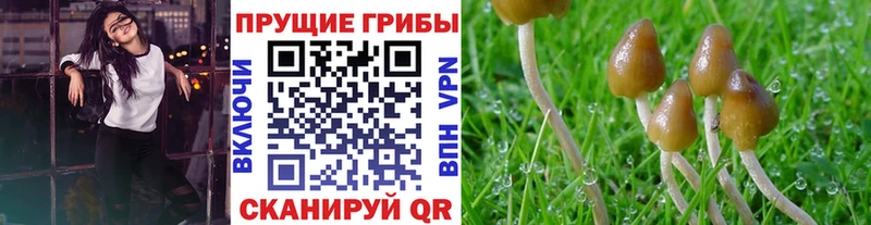 Галлюциногенные грибы Magic Shrooms  ссылка на мегу ONION  Киреевск 